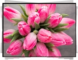 Tulipany, Bukiet, Różowe