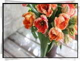 Tulipany, Bukiet, Wazon