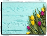 Żółte, Ciemnoróżowe, Tulipany