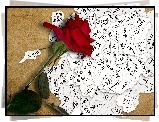 Czerwona, Róża, Karteczki, I, Love, You