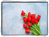 Czerwone, Tulipany, Niebiesko-białe, Tło