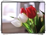 Białe, Czerwone, Tulipany