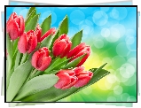 Bukiet, Czerwone, Tulipany