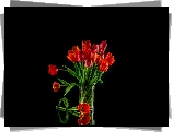 Czerwone, Tulipany, Bukiet, Czarne tło