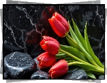 Tulipany, Czerwone, Kamienie, Tło, Marmurowe