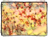 Kwiaty, Czerwone, Fractalius