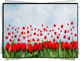 Czerwone, Tulipany, Serduszka, Biało-niebieskie, Tło