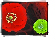 Czerwony, Zielony, Kwiat, Maki, Tekstura