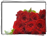 Bukiet, Czerwonych, Roz