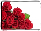 Bukiet, Czerwonych, Roz