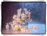 Dekoracja, Przymiotno białe, Kwiaty, Wazonik, Bokeh