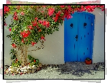 Fasada, Dom, Niebieskie, Drzwi, Krzew, Kwiaty, Bugenwilla