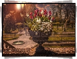 Park, Donica, Kwiaty