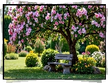 Park, Drzewa, Kwiaty, Ławka, Klomby