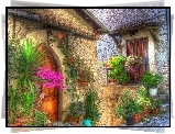 Dom, Drzwi, Rośliny