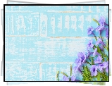 Fioletowe, Kwiaty, Niebieskie, Deski