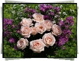 Róże, Fioletowe, Kwiatki