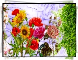 Fractalius, Kolorowe, Kwiaty, Liście