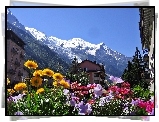Góry, Domy, Kwiaty, Chamonix