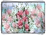 Kwiaty, Goździki, Grafika