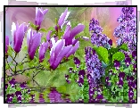 Grafika, Wiosenne, Kwiaty, Bez, Magnolia, Bratki