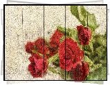 Grafika, Czerwone, Róże, Deski