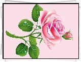 Grafika 2D, Różowa, Róża