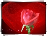 Happy, Valentines, Day, Róża, Serce
