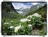 Jaskry, Wysokogórskie, Góry, Fjordland National Park