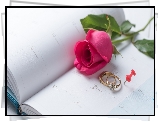 Róża, Kalendarz, 14 luty, Walentynki, Biżuteria, Pierścionki, Pinezka