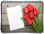 Tulipany, Kartka, Deski