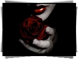 Kobiece, Usta, Czerwona, Róża