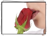 Kobieta, Usta, Czerwona, Róża