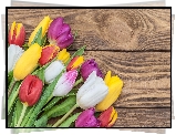 Kolorowe, Tulipany, Brązowe, Deski