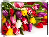 Bukiet, Kolorowe, Tulipany
