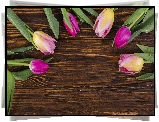 Kolorowe, Tulipany, Ciemne, Deski