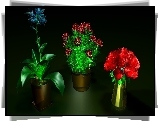 Kolorowe, Kwiaty, Grafika 3D
