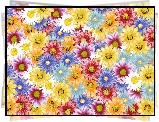 Kolorowe, Kwiaty, Stokrotki, Grafika 2D