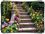 Kolorowe, Kwiaty, Schody