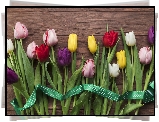Kolorowe, Tulipany, Wstążka, Deski