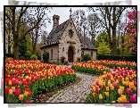 Wiosna, Kościół, Tulipany, Ścieżka, Drzewa