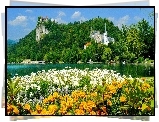 Kośclół, Zamek, Jezioro, Kwiaty, Bled, Słowenia