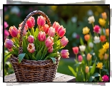 Różowe, Tulipany, Wiklinowy, Koszyk