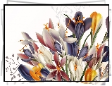 Kwiaty, Krokusy, 2D