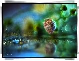 Fioletowy, Kwiat, Bokeh