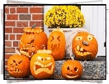 Dynie, Kwiatki, Halloween
