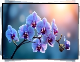 Liliowy, Storczyk, Orchidea, Kwiaty, Grafika AI