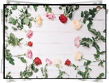 Kwiaty, Kolorowe, Róże, Białe, Deski