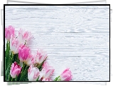 Kwiaty, Biało-różowe, Tulipany, Białe, Deski