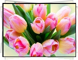Kwiaty, Tulipany, Bukiet kwiatów